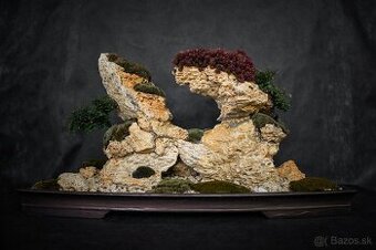 Bonsai Krajinka v miske 78x38cm