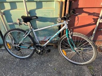 Horský bicykel Amulet Europe MTB - 1