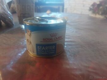 Predam konzervy Royal canin starter.