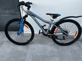 AUTHOR A-Matrix SL 24