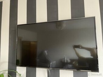 Panasonic viera tx 55dx603e
