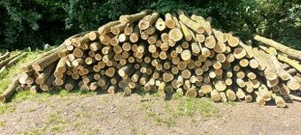 Agatove koly stlpy lacno cerstve