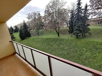 Pekný 1. rekonšt., Turgenevova, zariad., Lo, 3p, komora