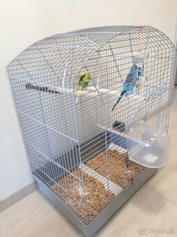 Predám andulky s kompletným vybavením