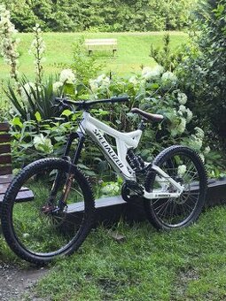 Specialized big hit
