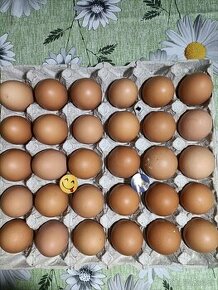 BIO Domáce vajcia bez GMO