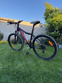 Bicykel CTM Charisma 2.0