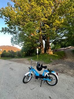 Babeta 207