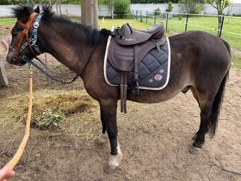 Bezkostrove pony sedlo zn. Barefoot
