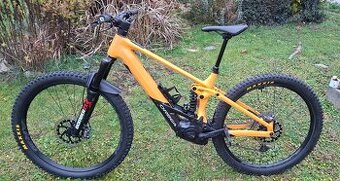 Predam Orbea Wild 2024 L
