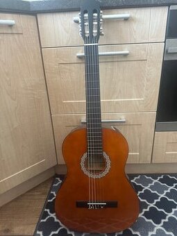 Akustická gitara Sheffield