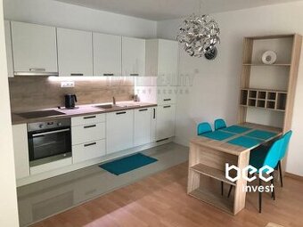 NOVOSTAVBA - veľký   2 izbový byt kompletne zariadený + park