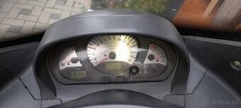 Burgman