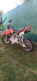 predam pitbike 110