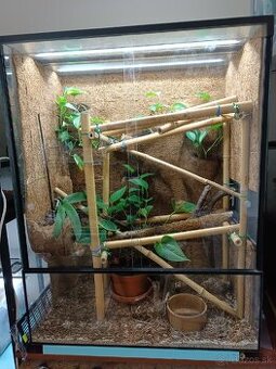 Terarium