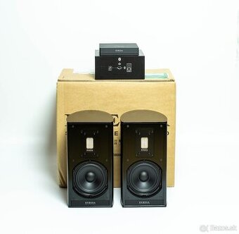 Piega Premium Wireless 301