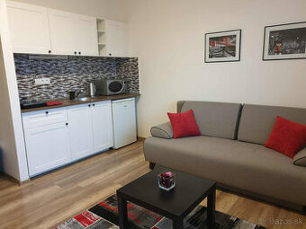 RK MIMAREAL odporúča na prenájom modernú garsónku,loggia