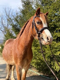 Ponik ideálny pre deti