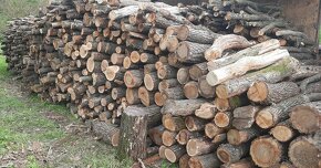 Palivové drevo - METROVICA