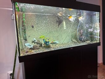 Akvarium juwel rio 180 (2021)