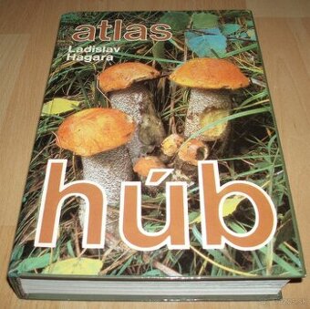 Atlas húb