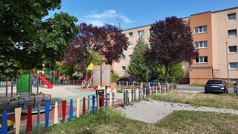 Garzónka s čiastočným zariadením, Boriny