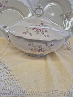 Predam terinu a taniere