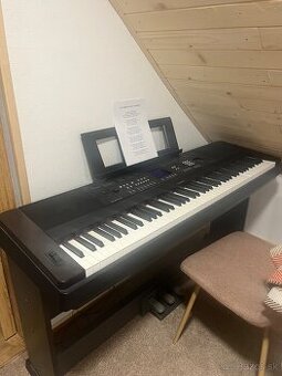 Klavir Portable Grand DGX 650