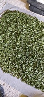 Granule