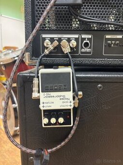 Boss NS-2
