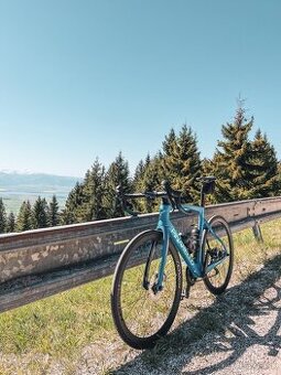 Pinarello prince FX