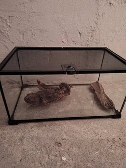 terárium 50x30x25 zn. Repti planet