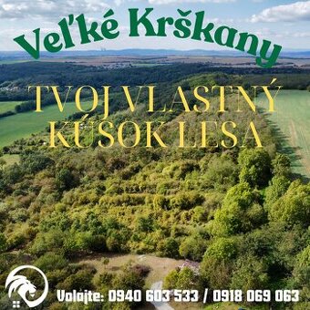 Kúp si svoj vlastný kúsok lesa – 6,82 ha prírody čaká na teb