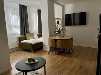 Na prenájom priestranná garsónka  v lokalite Horského parku 