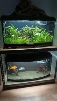 dve akvária s rybami, kompletne zostavené