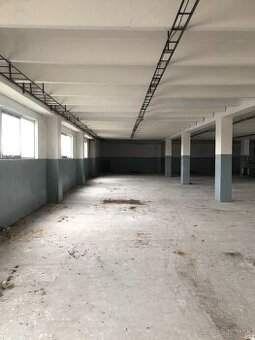 Ponúkame halu na prenájom - 1