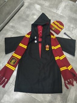 Kostým Harry Potter