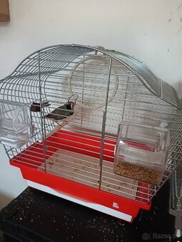 Zebrička austrálska