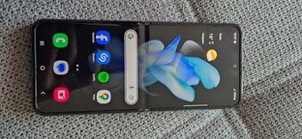 Z Flip4