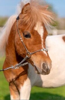 Mini American hors
