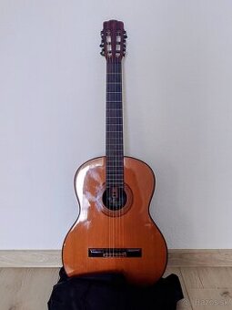 Gitara Merida Extrema NG-15