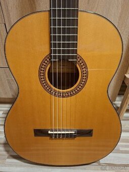 Akustická gitara minyard martinez mcg 20s