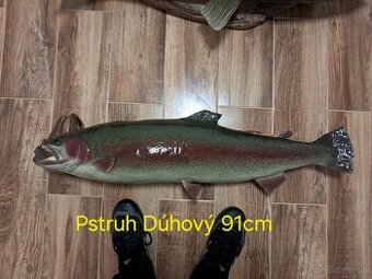 TROFEJ RYBA PREPARÁT  PSTRUH DÚHOVÝ