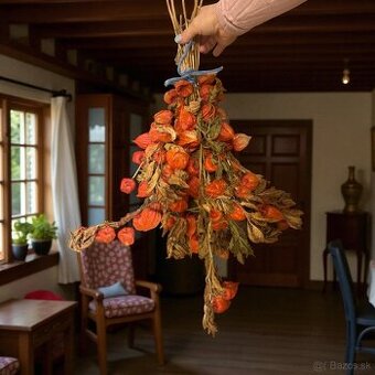 Predám sušené kvety – Mochyňa židovská