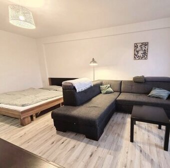 Predam 1.5 izbovy byt