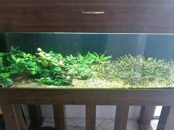Akvarium 375 litrov