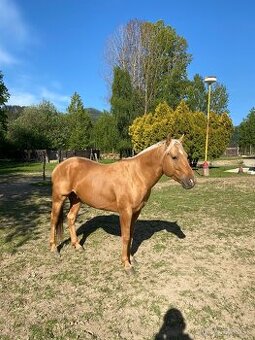 AQH