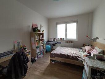 Prenajmem izbu v dvojizbovom byte, Krížna