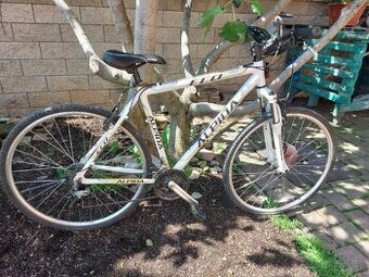 Bicykel Alpina Eco C10