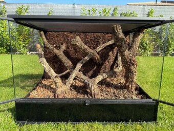 Terarium 3